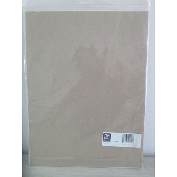 2007/08 Miami Dolphins Matted Photo w/ Cover Post Marked Dolphin Stadium USPS - Picture 4 of 4